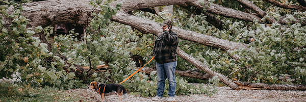 A man stands in the woods next to a large fallen tree, holding a cell phone to his ear